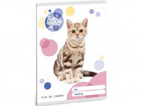 Ars Una: Cuki állatok - Amerikai rövidszőrű macska 2. osztályos vonalas füzet 32 lapos A/5