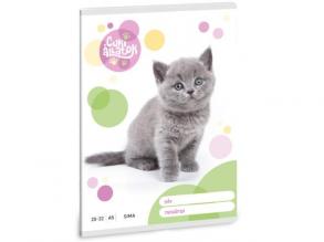 Ars Una: Cuki állatok - Brit rövidszőrű macska sima füzet A/5 20-32