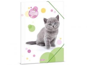 Ars Una: Cute Animals - Brit rövidszőrű macska gumis mappa A/4-es méret