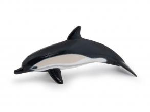 Közönséges delfin