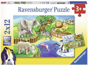 Állatkerti állatok 2 x 12 darabos puzzle