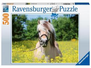Puzzle 500 db - Ló a repcemezőn