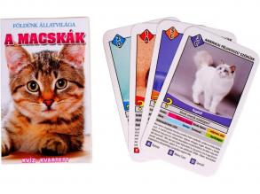 A Macskák (Ismeretterjesztő Kártya)