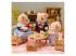 Sylvanian Families 5851 családi piknik
