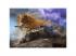 World of Tanks Tigris II 1000 db-os Prémium plus quality puzzle - Trefl
