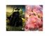 Wicked: Elphaba és Glinda 1000 db-os Prémium plus quality puzzle - Trefl