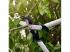 Fiskars PowerGearXfém fogaskerekes ágvágó (L) LX98 112490