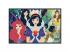 Disney elbűvölő hercegnők 2x200 db-os puzzle - Trefl