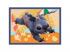 Disney: Stitch nyaralása 4 az 1-ben puzzle - Trefl