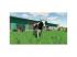 Farming Simulator 22 PS5 játékszoftver