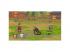 Tales of Symphonia Remastered Chosen Edition Xbox One/Xbox Series X játékszoftver