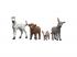Schleich FARM WORLD: Farm állatkölykök 42740