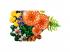 LEGO Botanicals: Erdei gombák (11505)
