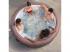 Lay-Z-Spa Hawaii Airjet EnergySense masszázsmedence 196 x 71 cm 2025