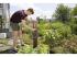 Gardena city gardening Terasz tömlő készlet 7,5 m