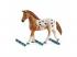 Schleich horse club lisa edzése versenyre