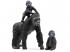 Schleich: Wild Life - Gorilla család figura szett (42601)