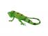 Mojo Wildlife Iguana - 381095