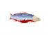 Mojo Sealife Koi-ponty  Asagi Koi  381100