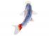 Mojo Sealife Koi-ponty  Asagi Koi  381100