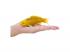 Mojo Sealife koi ponty  Kin Matsuba koi  381105