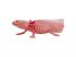 Mojo Wildlife Axolotl figura 381108