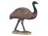 Mojo Wildlife Emu - 387163