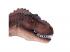 Mojo Őskor Deluxe T-Rex mozgó állkapoccsal 387379