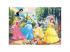 Disney Hercegnők - Mesebeli kert varázsa 2 az 1-ben 60db-os puzzle és színező 50x35cm - Lisciani