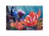 Némó nyomában 2 az 1-ben 24db-os puzzle és színező 50x35cm - Lisciani