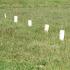 Kubb, viking játék tárolóval