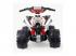 Injusa: Mercedes Quad The Beast 12V