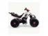Injusa: Mercedes Quad The Beast 12V
