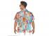 Hawaii ing férfi jelmez