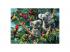 Koalák a fán puzzle 500 darabos