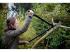 Fiskars SingleStep ágvágó, horgos (L) L39