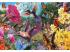 Puzzle 200 db - Kolibri és pillangó