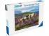 Puzzle 2000 db - Vadlovak a mezőn
