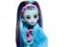 Monster High: Creepover Party Frankie baba kiegészítokkel - Mattel