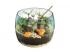 Harry Potter: Hagrid kunyhója terrárium készlet - Clementoni