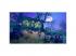 LEGO 2K Drive Awesome Edition Xbox One/Xbox Series játékszoftver