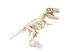 Science & Play: T-Rex fluoreszkáló régészeti készlet - Clementoni