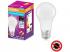 OSRAM , LED Antibacterial Classic , LED égő , E27 , 8.5 W , 6500 K , Hideg fehér , IP20 , Fehér
