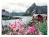 Puzzle 1000 db - Reine, Lofoten, Norvégia