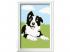 Ravensburger Creart festés számok alapján: border collie kiskutya