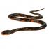 Kígyó, 135 cm, több színben