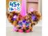 Furby: Furblets Chee-Chee interaktív plüssfigura - Hasbro
