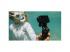 GoPro Hero13 Accessory Bundle sportkamera csomag