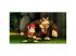Donkey Kong Country Returns HD Nintendo Switch játékszoftver