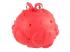 Splash Morcos szivacsos tengeri állatok többféle változatban 1db